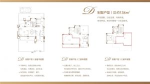 D别墅户型 建面134㎡