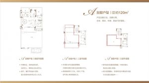 别墅户型 建面约120㎡