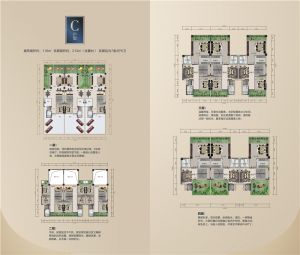 C户型 三拼别墅 7室4厅5卫 建筑面积约119平米