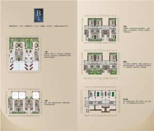 B户型 三拼别墅 8室5厅6卫 建筑面积约115平米